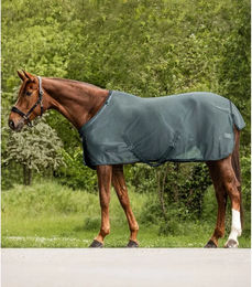 Waldhausen Fliegendecke Comfort mit Kreuzbegurtung aus Polyester in Grün 145 cm – Bild 1 von 8