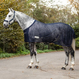 Waldhausen Fliegendecke Comfort mit Kreuzbegurtung piniengrün 155 cm – Bild 1 von 5