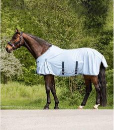 Waldhausen Fliegendecke Protect für Pferde mit Bauchgurt Blau 115 cm – Bild 1 von 5