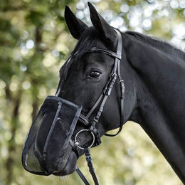 Waldhausen Fliegennasenschutz für Pferde mit Pony in Silber – Bild 1 von 4