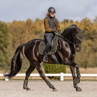 Produktbild von Waldhausen Fliegenohren St. Gallen für Warmblut in Schwarz aus Cord