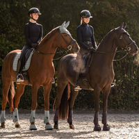Produktbild von Waldhausen Fliegenohren Ubud Salbei für Warmblut