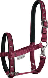 Waldhausen Fohlenhalfter Comfort aus Nylon in Rot – Bild 1 von 5