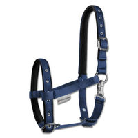 Produktbild von Waldhausen Fohlenhalfter Comfort Blau aus Nylon