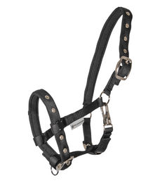 Waldhausen Fohlenhalfter Comfort Schwarz aus Nylon – Bild 1 von 7
