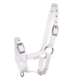 Waldhausen Fohlenhalfter Triple aus Kunstleder in Weiß – Bild 1 von 2