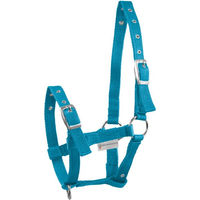 Produktbild von Waldhausen Fohlenhalfter Triple aus Nylon in Blau Türkis oder Silber