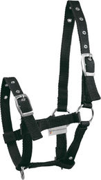Waldhausen Fohlenhalfter Triple aus Nylon in Schwarz - 1 Stk. – Bild 1 von 2