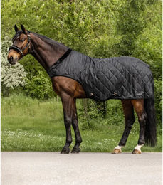 Waldhausen Führmaschinendecke Exclusive Schwarz 125 cm – Bild 1 von 5