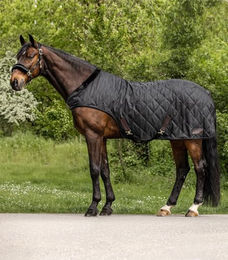 Waldhausen Führmaschinendecke Exclusive Schwarz 155 cm – Bild 1 von 4