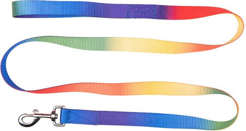 Waldhausen Führstrick Regenbogen Bunt – Bild 1 von 2