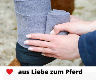 Waldhausen Gamaschen Fleecebandagen Grau für Warmblut aus Polyester – Bild 1 von 2