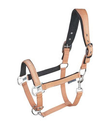 Waldhausen Halfter Athletic für Warmblut in Pfirsich/Rosa – Bild 1 von 2