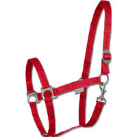 Produktbild von Waldhausen Halfter aus Nylon für Vollblut in Rot