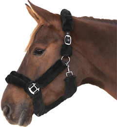 Waldhausen Halfter Cozy für Warmblut in Braun mit Plüschbesatz – Bild 1 von 4
