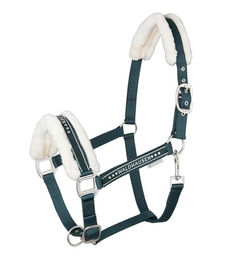 Waldhausen Halfter Elegant für Warmblut in Tannengrün – Bild 1 von 3