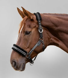 Waldhausen Halfter Elegant mit Kunstfell für Warmblut in Schwarz – Bild 1 von 5