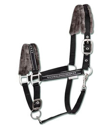 Waldhausen Halfter Elegant mit Plüsch für Vollblut in Schwarz – Bild 1 von 5