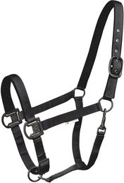 Waldhausen Halfter Gloomy für Pony aus Nylon in Schwarz – Bild 1 von 3