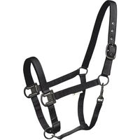 Produktbild von Waldhausen Halfter Gloomy für Pony aus Nylon in Schwarz