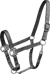 Waldhausen Halfter Gloomy für Warmblut aus Nylon in Grau – Bild 1 von 3