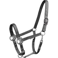 Produktbild von Waldhausen Halfter Gloomy für Warmblut aus Nylon in Grau