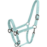 Produktbild von Waldhausen Halfter Gloomy Mint aus Nylon für Warmblut Pferde in Grün