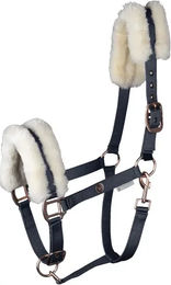 Produktbild von Waldhausen Halfter Modern für Pferde Vollblut in Rosé und Blau