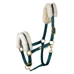 Produktbild von Waldhausen Halfter Modern für Warmblut in Rosé und Gold