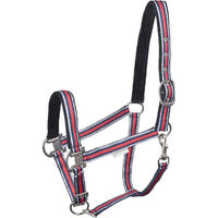 Produktbild von Waldhausen Halfter Shine Nylon Rot/Silber für Warmblut