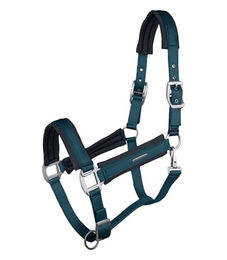 Waldhausen Halfter Soft Touch für Warmblut in Petrolblau aus Kunstleder – Bild 1 von 3