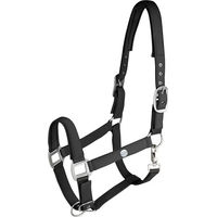 Produktbild von Waldhausen Halfter Trinidad für Pony aus Nylon in Schwarz