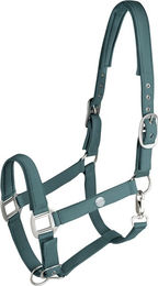 Waldhausen Halfter Trinidad für Warmblut in Piniengrün aus Nylon – Bild 1 von 5