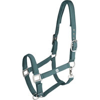 Produktbild von Waldhausen Halfter Trinidad Pony aus Nylon in Piniengrün