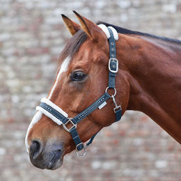 Waldhausen Halfter und Strick Set Elegant mit Glitzersteinen Blau für Warmblut – Bild 1 von 6