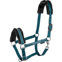 Produktbild von Waldhausen Halfter und Strick Set Elegant mit Glitzersteinen für Ponys in Blau Türkis aus Polyester