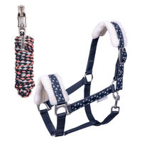 Produktbild von Waldhausen Halfter und Strick Set Lucky Heart aus Nylon in Bunt mit Silber