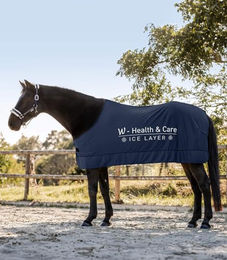 Waldhausen Health + Care Ice-Layer Sommer-Kühldecke für Pferde Blau 135 cm – Bild 1 von 12