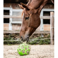 Produktbild von Waldhausen Heunetz Heuball aus Gummi grün 22 cm