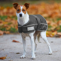 Waldhausen Hundedecke Comfort Line blau 200g - 200 g – Bild 1 von 3