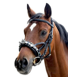 Produktbild von Waldhausen Kappzaum aus Leder für Warmblut in Schwarz