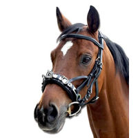 Produktbild von Waldhausen Kappzaum aus Leder für Warmblut in Schwarz