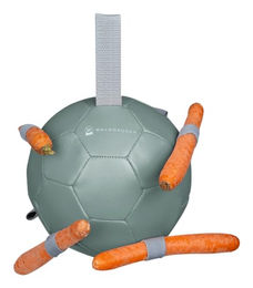 Waldhausen Karottenball Spielball aus TPR in Mistelgrün – Bild 1 von 4