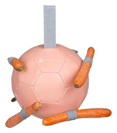 Produktbild von Waldhausen Karottenball Spielzeug Rosa