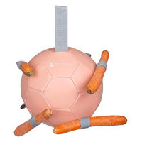 Produktbild von Waldhausen Karottenball Spielzeug Rosa