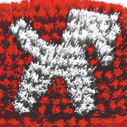 Waldhausen Kinder-Kardätsche Pferdchen aus Kunststoff in Rot und Weiß – Bild 1 von 7
