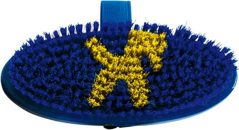 Waldhausen Kinder-Kardätsche Pferdchen Blau aus Kunststoff – Bild 1 von 5