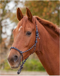 Waldhausen Knotenhalfter für Pferde Warmblut in Blau – Bild 1 von 4