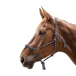 Waldhausen Knotenhalfter für Pony aus Nylon in Blau und Silber – Bild 1 von 5