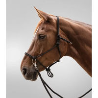 Produktbild von Waldhausen Knotenhalfter mit Zügel für Ponys aus Seil in Schwarz